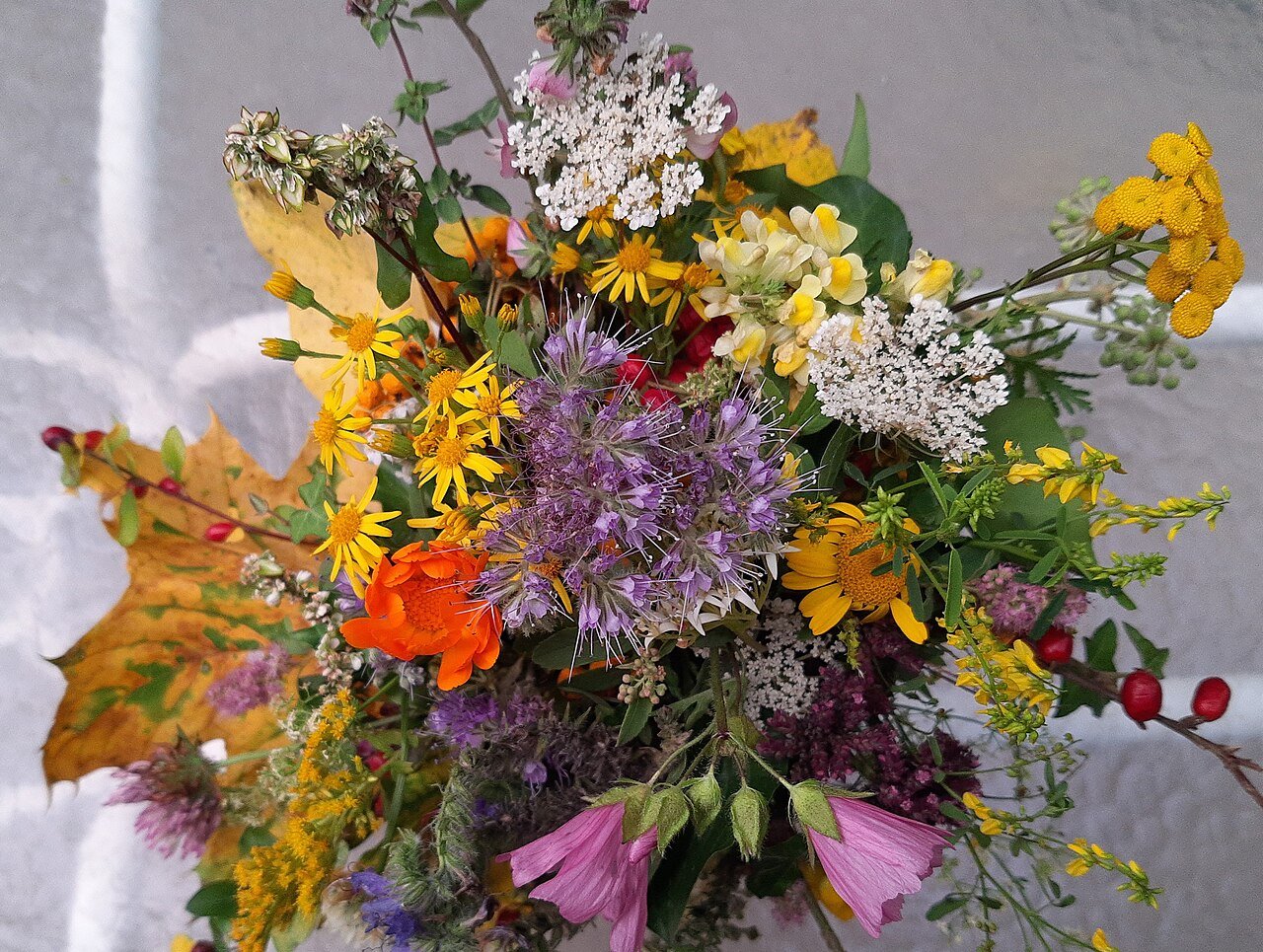 Mixed Wildflower Bouquet